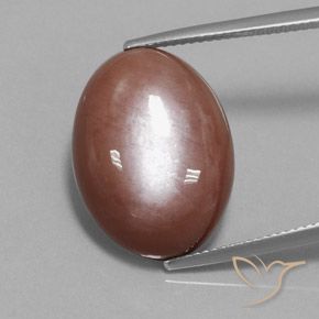 18.74ct Natural Cinnamon Brown Moonstone, Oval, Opaque
