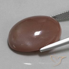 Moonstone Gemstone in 22.2 x 16 mm Size for Sale, Moonstone Stone in Medium Brown Color