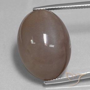 28.97 ct Brown Moonstone, 22.3 x 16.3 mm Oval Cut From India, Photo A