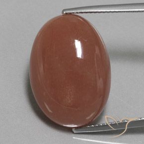 Pietra di luna marrone da 22,59 ct, taglio ovale da 22,4 x 16,1 mm proveniente dall'India, Photo A