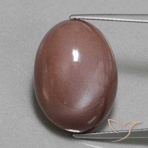 23.55ct Natural Medium Brown Moonstone, Oval, Opaque