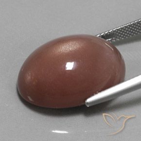 Moonstone Gemstone in 21.9 x 16.1 mm Size for Sale, Moonstone Stone in Medium Brown Color