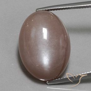 25.09ct Natural Light Brown Moonstone, Oval, Opaque