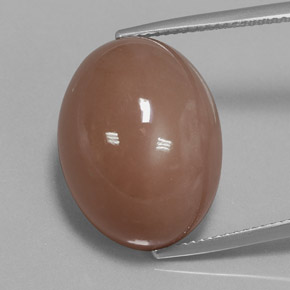 Warm Brown Moonstone Gem - 27ct Oval Cabochon (ID: 359874)