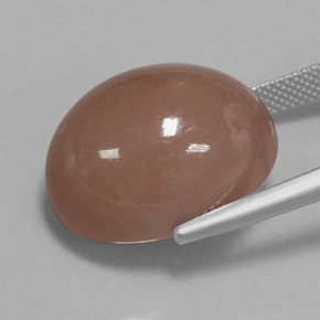 Moonstone Gemstone in 20 x 15 mm (calibrated) Size for Sale, Moonstone Stone in Warm Brown Color