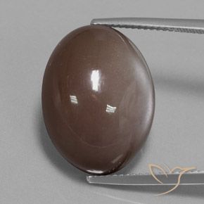 21.72ct Natural Chocolate Brown Moonstone, Oval, Opaque