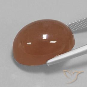 Moonstone Gemstone in 20 x 15 mm (calibrated) Size for Sale, Moonstone Stone in Warm Brown Color