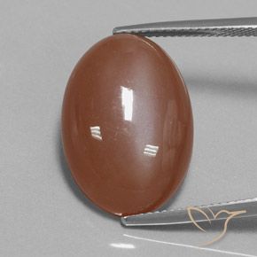 15.54ct Natural Cinnamon Brown Moonstone, Oval, Opaque