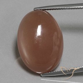 18.61ct Natural Medium Brown Moonstone, Oval, Translucent, Photo A