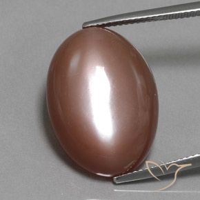 19.77ct Natural Warm Brown Moonstone, Oval, Opaque