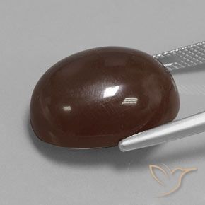 Moonstone Gemstone in 20.3 x 16 mm Size for Sale, Moonstone Stone in Medium Brown Color