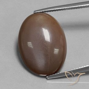 18.80ct Natural Chocolate Brown Moonstone, Oval, Translucent