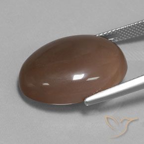Moonstone Gemstone in 21.6 x 16 mm Size for Sale, Moonstone Stone in Chocolate Brown Color