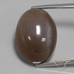 30.12ct Natural Chocolate Brown Moonstone, Oval, Opaque