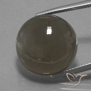 18.40ct Natural Grey Brown Moonstone, Round, Translucent