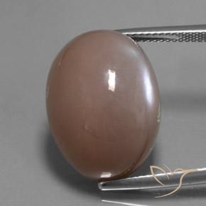 24.60ct Natural Medium-Light Brown Moonstone, Oval, Translucent