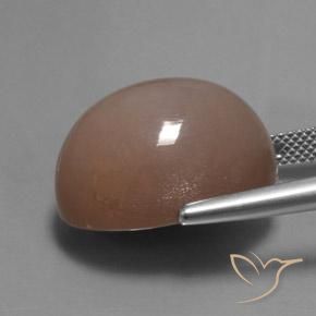 Moonstone Gemstone in 20 x 15 mm (calibrated) Size for Sale, Moonstone Stone in Medium-Light Brown Color