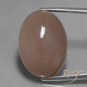 27.83ct Natural Light Brown Moonstone, Oval, Translucent