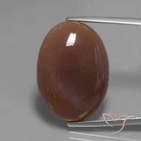 22.04ct Natural Medium Brown Moonstone, Oval, Translucent