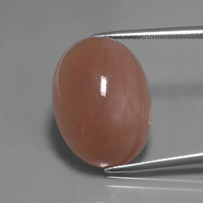 Medium Orange Moonstone Gem - 22.6ct Oval Cabochon (ID: 378205)