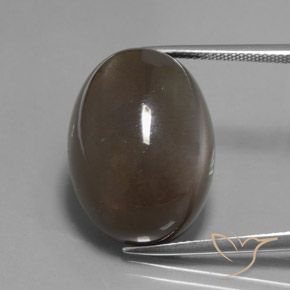 27.12ct Natural Umber Brown Moonstone, Oval, Translucent