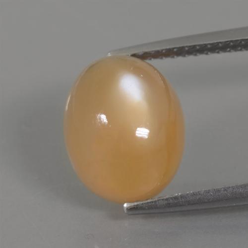 Golden Orange Cream Moonstone Gem - 4.5ct Oval Cabochon (ID: 386249)