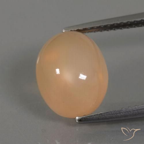 Piedra de Luna Dorado Cabujón Óvalo de 11,2 x 8,9mm de India, peso de 4.41ct, piedra preciosa No tratado de forma natural en claridad Transparente, Piedra de Luna de 1 pieza: el color es Dorado-naranja medio, dureza Mohs de 6 - 6.5, Photo A