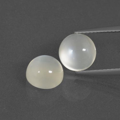 Warm White Moonstone Gem - 2.4ct Round Cabochon (ID: 400090)