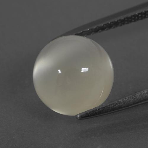Warm White Moonstone Gem - 3.7ct Round Cabochon (ID: 400174)