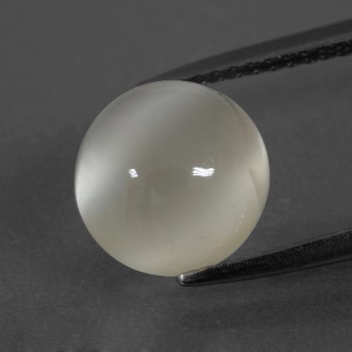 Warm White Лунный Камень Камень - 4ct Круглый Кабошон (ID: 400176)