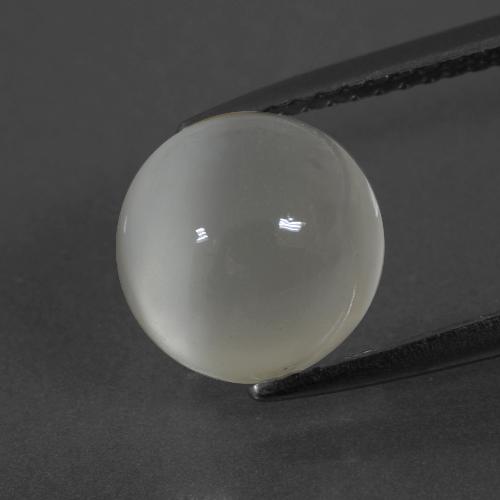 Warm White Лунный Камень Камень - 3.5ct Круглый Кабошон (ID: 400178)