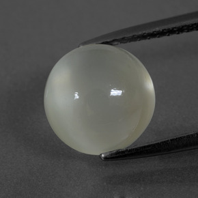 Warm White Moonstone Gem - 3.7ct Round Cabochon (ID: 400210)