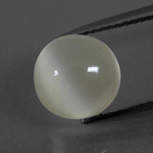 Warm White Moonstone Gem - 3.9ct Round Cabochon (ID: 400211)