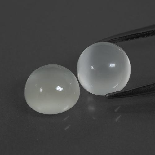 Warm White Moonstone Gem - 2.5ct Round Cabochon (ID: 400239)