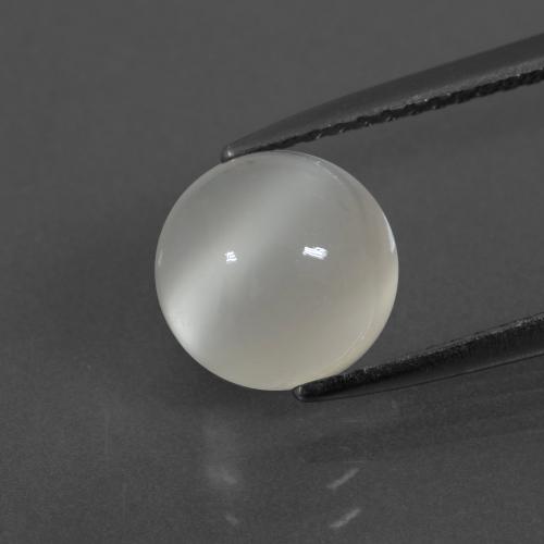 Warm White Moonstone Gem - 2.7ct Round Cabochon (ID: 400245)