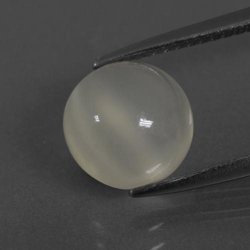 Warm White Moonstone Gem - 2.6ct Round Cabochon (ID: 400332)