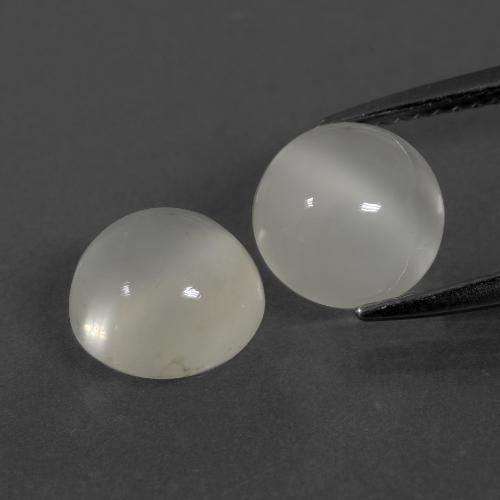 Warm White Moonstone Gem - 2.1ct Round Cabochon (ID: 400346)