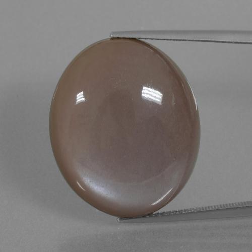Medium Brown Moonstone Gem - 33.8ct Oval Cabochon (ID: 401028)