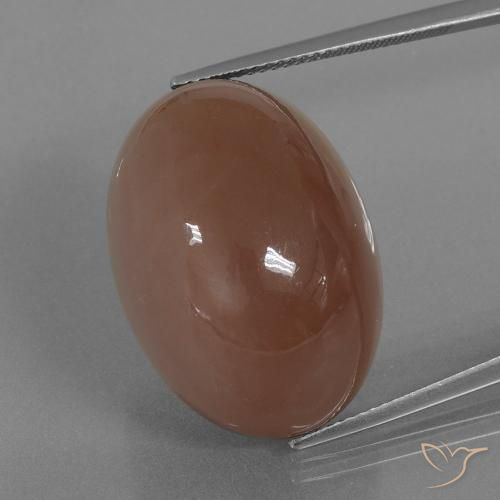 44.24ct Natural Warm Brown Moonstone, Oval, Opaque