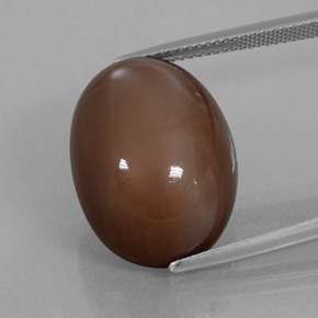 Marrón nuez Piedra de Luna Gema - 23ct Cabujón Óvalo (ID: 401138)