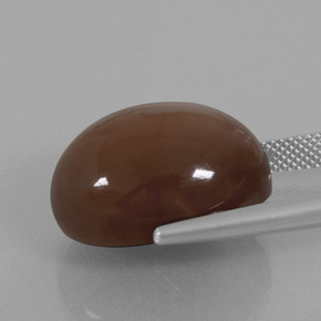 Moonstone Gemstone in 20 x 15 mm (calibrated) Size for Sale, Moonstone Stone in Pecan Brown Color