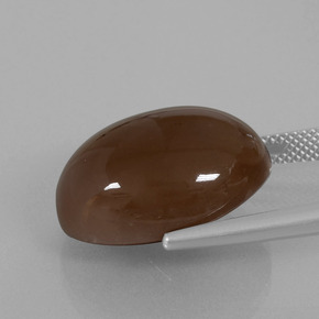 Moonstone Gemstone in 20 x 15 mm (calibrated) Size for Sale, Moonstone Stone in Chocolate Brown Color