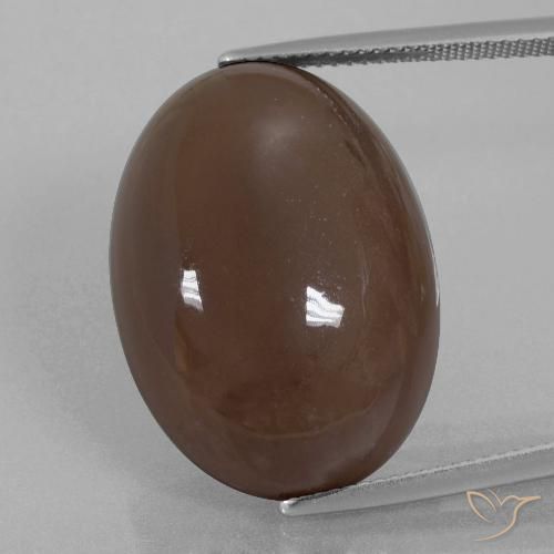 28.02ct Natural Chocolate Brown Moonstone, Oval, Opaque