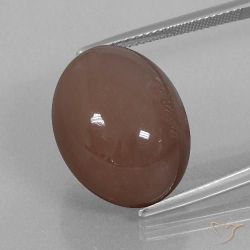 25.76ct Natural Espresso Brown Moonstone, Oval, Opaque