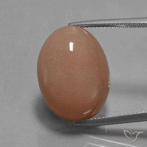 18.19 ct Orange Moonstone, 20 x 15.2 mm Oval Cut From India, Photo A