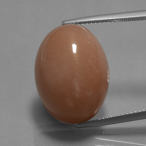Cider Orange Moonstone Gem - 24.6ct Oval Cabochon (ID: 401364)