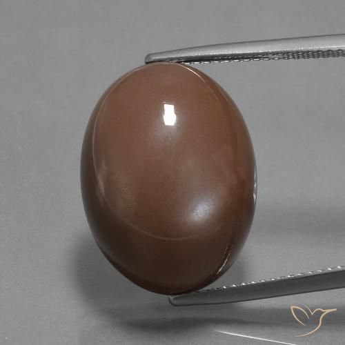 20.43 ct Brown Moonstone, 20.1 x 15.1 mm Oval Cut From India, Photo A
