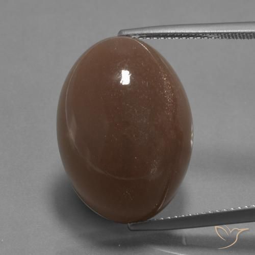 22.67ct Natural Medium Brown Moonstone, Oval, Opaque