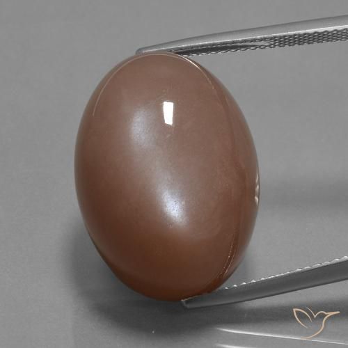 30.59ct Natural Medium Brown Moonstone, Oval, Opaque