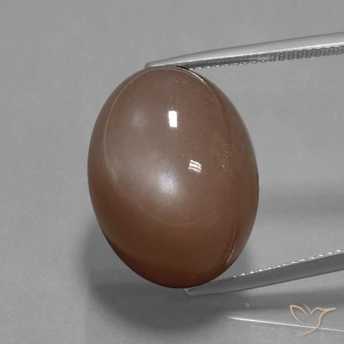 34.59ct Natural Medium Brown Moonstone, Oval, Opaque